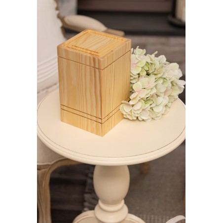 Toronto natúr, fa urna, urna, faurna