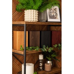 Berlin, fa urna, urna, faurna