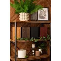 Berlin, fa urna, urna, faurna