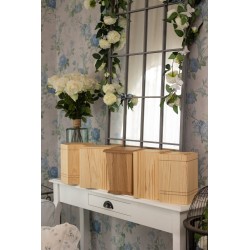 natúr, fa urna, urna, faurna